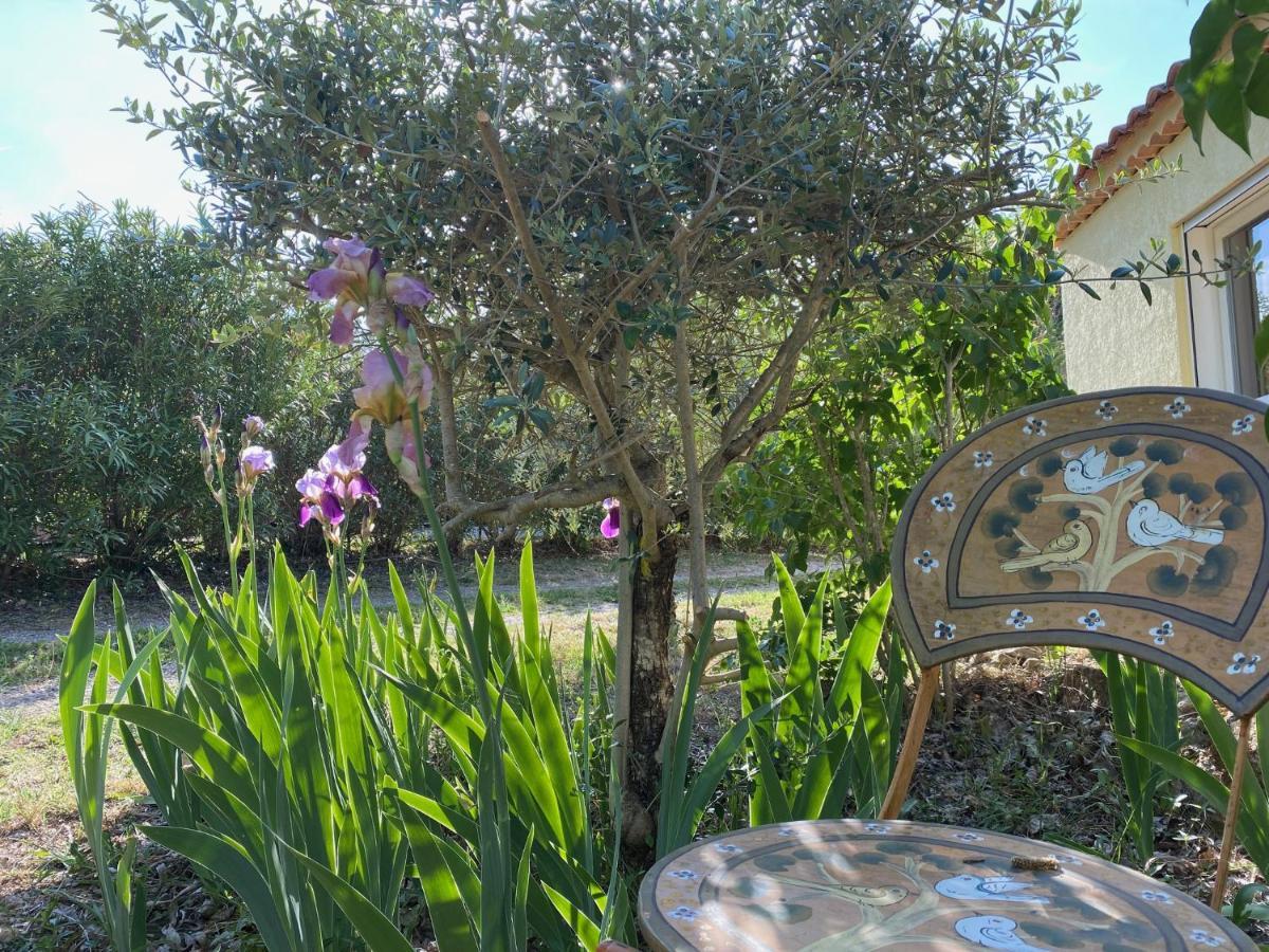 L'Eveil En Provence Bed & Breakfast Entrecasteaux Ngoại thất bức ảnh